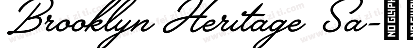 Brooklyn Heritage Sa字体转换